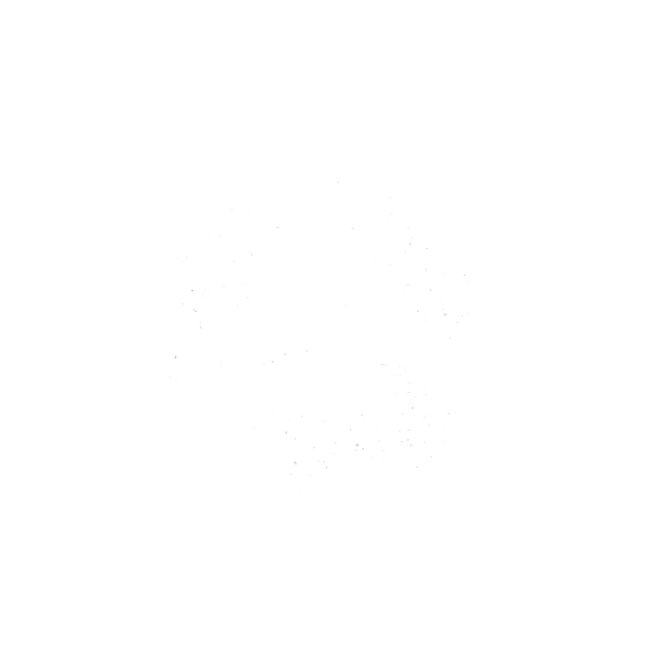 Memecoin Campaign campaign thumbnail